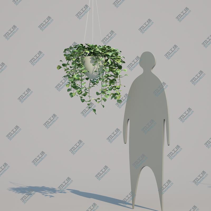 images/goods_img/202104094/3D model Epipremnum aureum 11/5.jpg